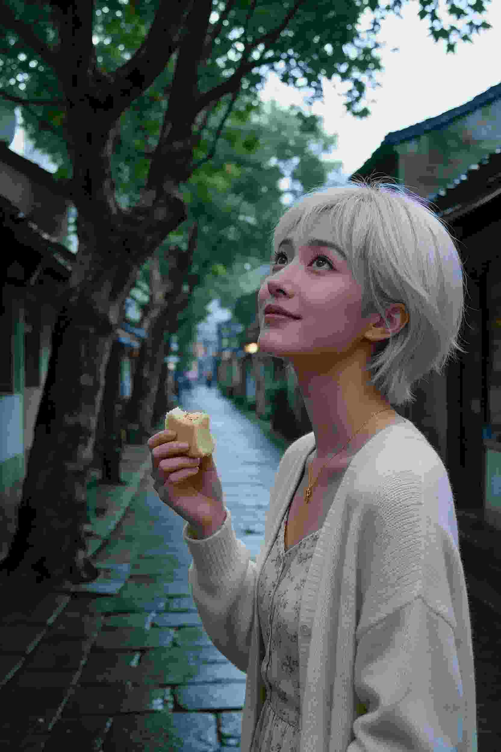 樱花绽放